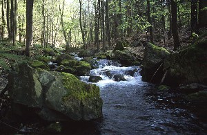Klicken f&uuml;r vergr&ouml;&szlig;erte Ansicht!