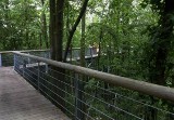 Klicken für vergrößerte Ansicht!