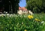 Klicken für vergrößerte Ansicht!